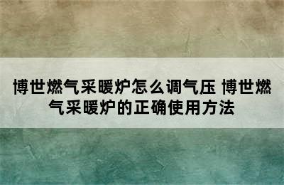 博世燃气采暖炉怎么调气压 博世燃气采暖炉的正确使用方法